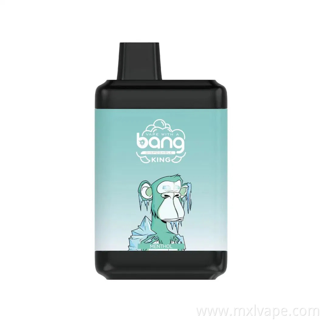 8000 Puffs Rechargeable 16ml Bang King for USA Disposable E-Cigarette Vaporizer